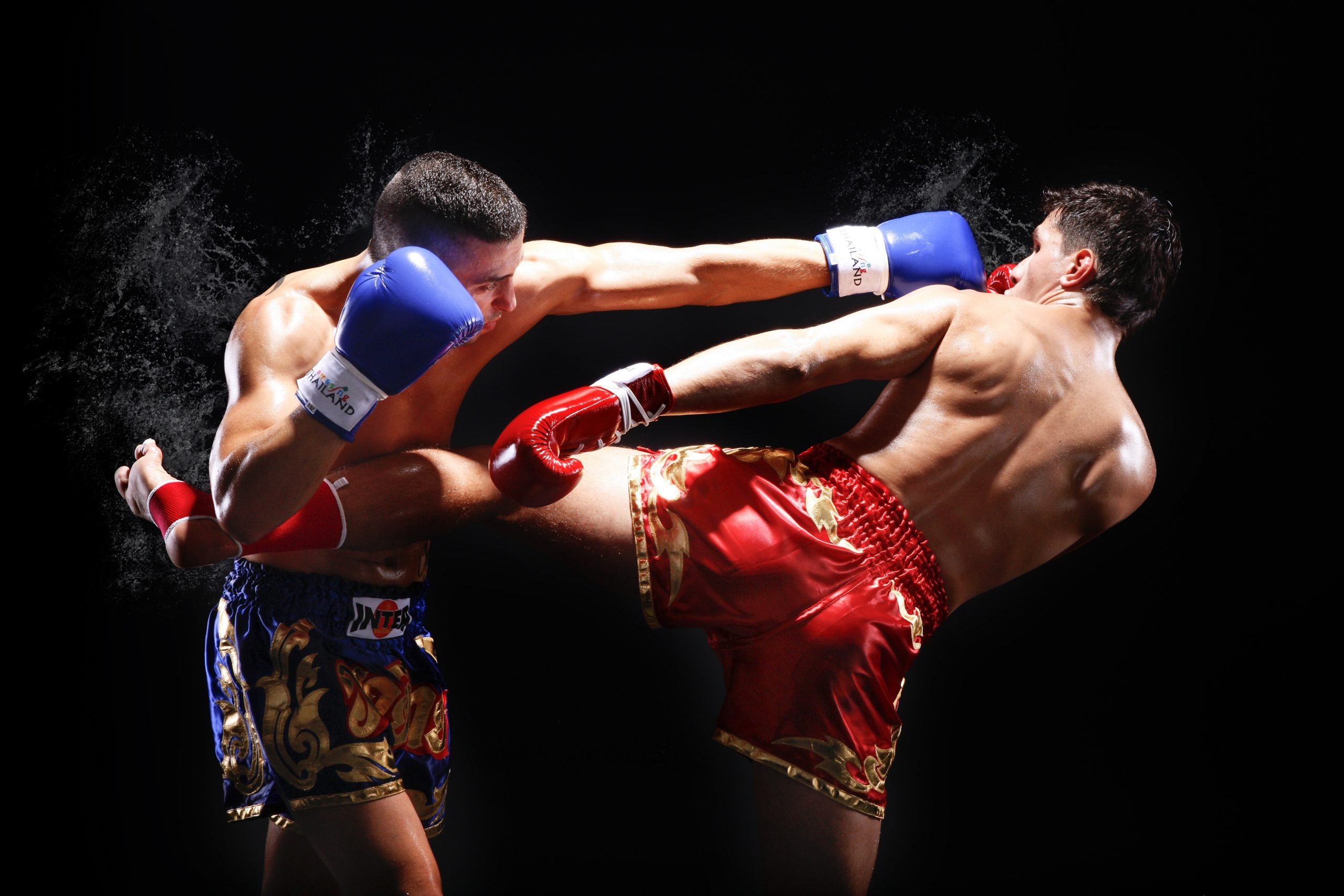Boxing Club Management Software - Checklick