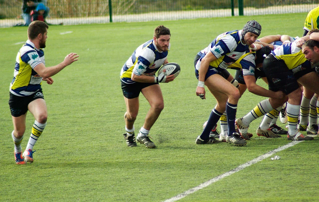 Rugby Club Management Software - Checklick